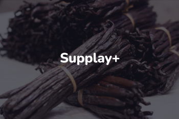 Les marchés internationaux les plus porteurs pour l’export malgache